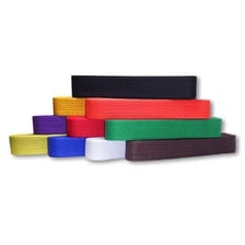 Karate students practicing while wearing different colored belts.