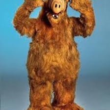 The furry alien puppet character ALF from the television sitcom