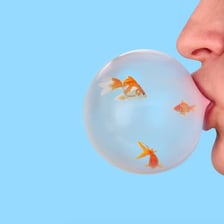 A surreal image depicting an unusual and unexpected object