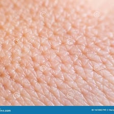 A close-up view of pores on human skin