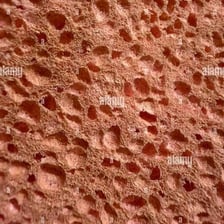 A close-up view of a porous sponge with many small openings.