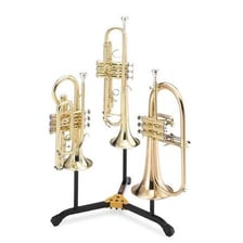 A flugelhorn shown beside a cornet for comparison.