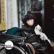 A fluffy Pomeranian dog, the breed popularized by Queen Victoria