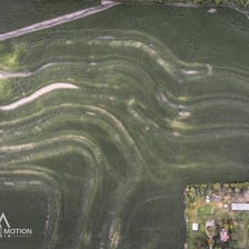 A cornfield viewed as a measured tract of farmland.