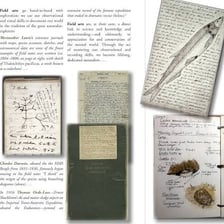 A page of field notes covered with detailed annotations.