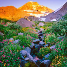 Mount Hood rising above an Oregon landscape.