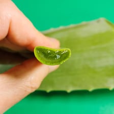 An aloe vera plant beside its clear topical gel.