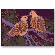Two turtle doves perched side by side.