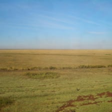 A wide, treeless grassland landscape on the Eurasian steppe.