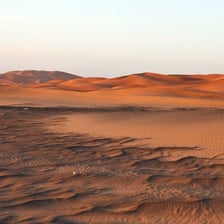 Dry Sahara Desert landscape with sand dunes