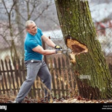 A lumberjack cutting down a tree with an axe