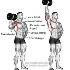 An educational diagram highlighting the deltoid muscles during a shoulder press.