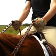 A rider holding reins and steering a horse