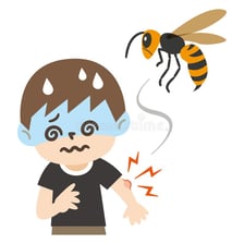 An educational illustration showing a bee and the effect of its sting