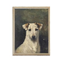 An older dog pictured in close-up