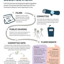 A legislative chamber voting on a bill.