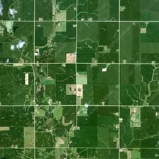 A cornfield in Iowa.