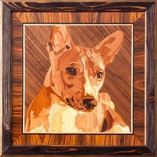 A Basenji, a small short-haired dog with upright ears and a curled tail.