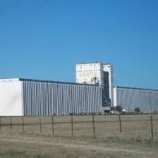 Wheat fields and grain elevators near Enid, Oklahoma.