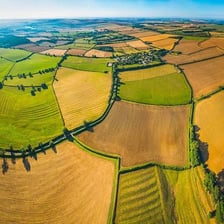 Aerial view of farmland divided into fields