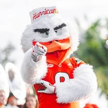 The Florida Gators mascot represents the University of Florida athletic program.