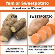 A whole yam showing its thick, rough outer skin.