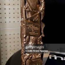 A César award trophy from France