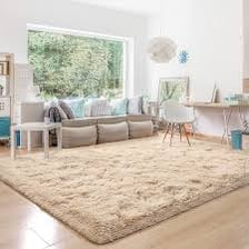 A decorative throw rug lying on the floor of a living room.