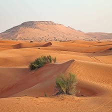 A dry desert landscape with sparse vegetation.