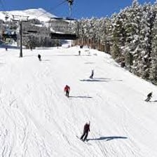 A skier descending a marked run at a mountain ski resort.