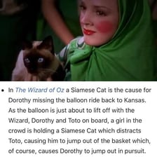A Siamese cat in a scene associated with The Wizard of Oz.