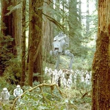 A forested fictional moon setting associated with Ewoks.