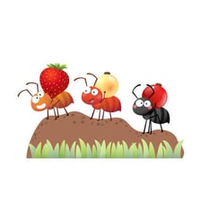 Ants working together while carrying food.