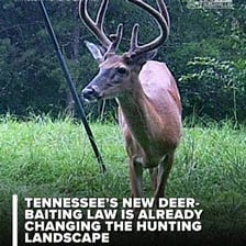 A hunter in a forest during a legal hunting season