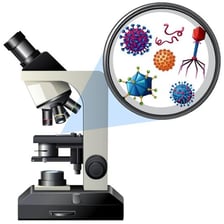 A microscope used to examine a virus in an educational illustration.
