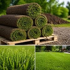 Rolls of grass sod ready for installation.