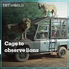 Travelers observing wildlife from a safari vehicle.