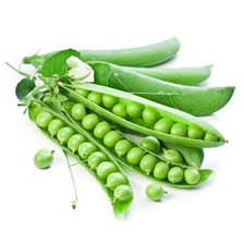 Several green peas clustered inside an opened pea pod.