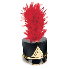 A marching-band hat decorated with a feather plume.