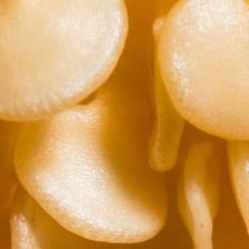 A close-up highlights a distinctive detail of an object.