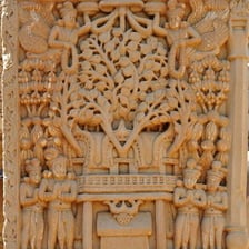 A large Bodhi tree associated with Buddhist enlightenment
