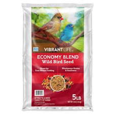 A bag and scoop of bird seed