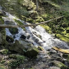 A trail terminating at the edge of a river