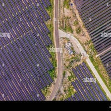 Rows of photovoltaic panels covering a large solar farm.