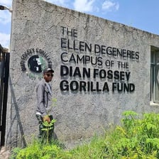 Dian Fossey at the mountain gorilla research center she established in Rwanda.