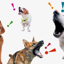 A dog barking with its mouth open