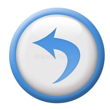 A computer interface showing an undo button.