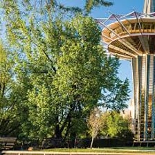 The Oral Roberts University campus in Tulsa, Oklahoma.