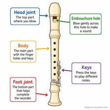An educational illustration showing the parts of a flute.
