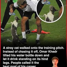 A person gestures for a stray animal to leave.